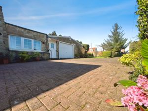 Photo 15- click for photo gallery